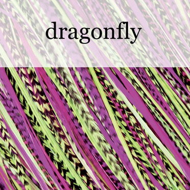 dragonfly:  (© © fine FEATHERHEADS)