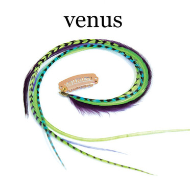 Quill Clips - venus:  (© © fine FEATHERHEADS)