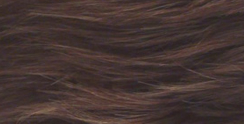 R10 chestnut