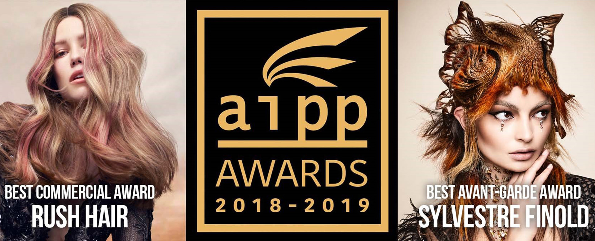 aipp AWARDS 2018-2019 (© Alex Barron-Hough)