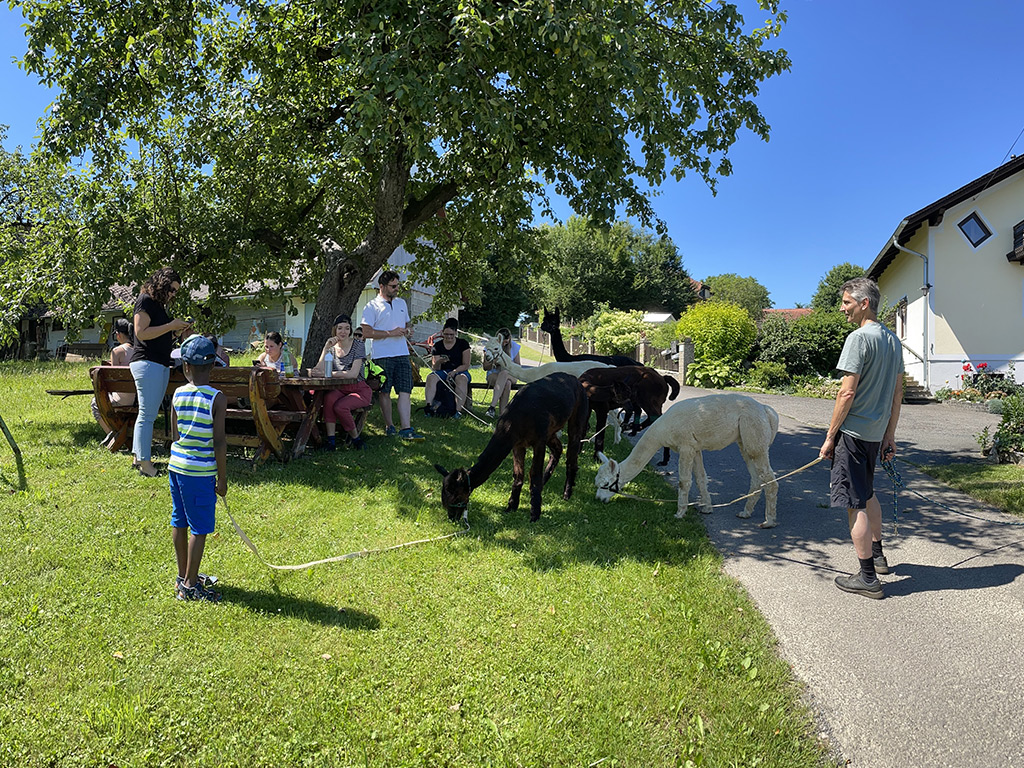 Picknick bei der Alpakawanderung