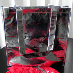 Silbertasche (© Great Lengths)