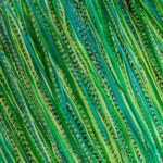 fineFEATHERHEADS, Sujet emerald green (© Great Lengths)