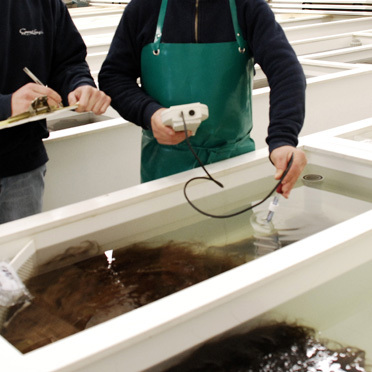 Osmosebad (© Great Lengths)