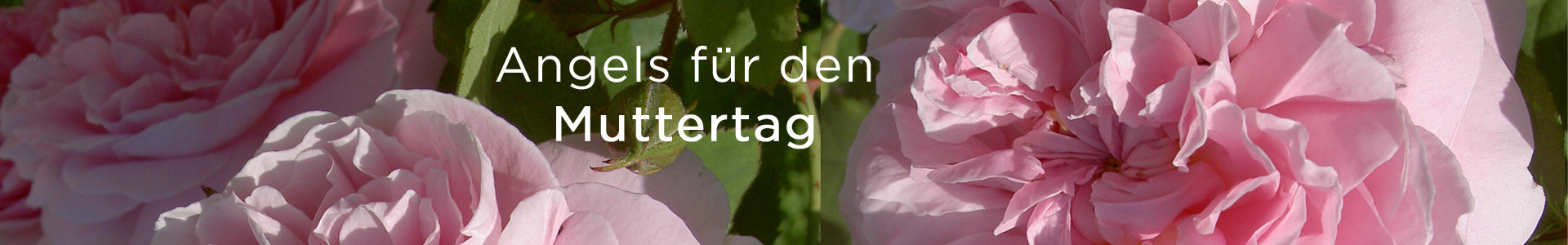 Muttertagsaktion 2014 (© Great Lengths)