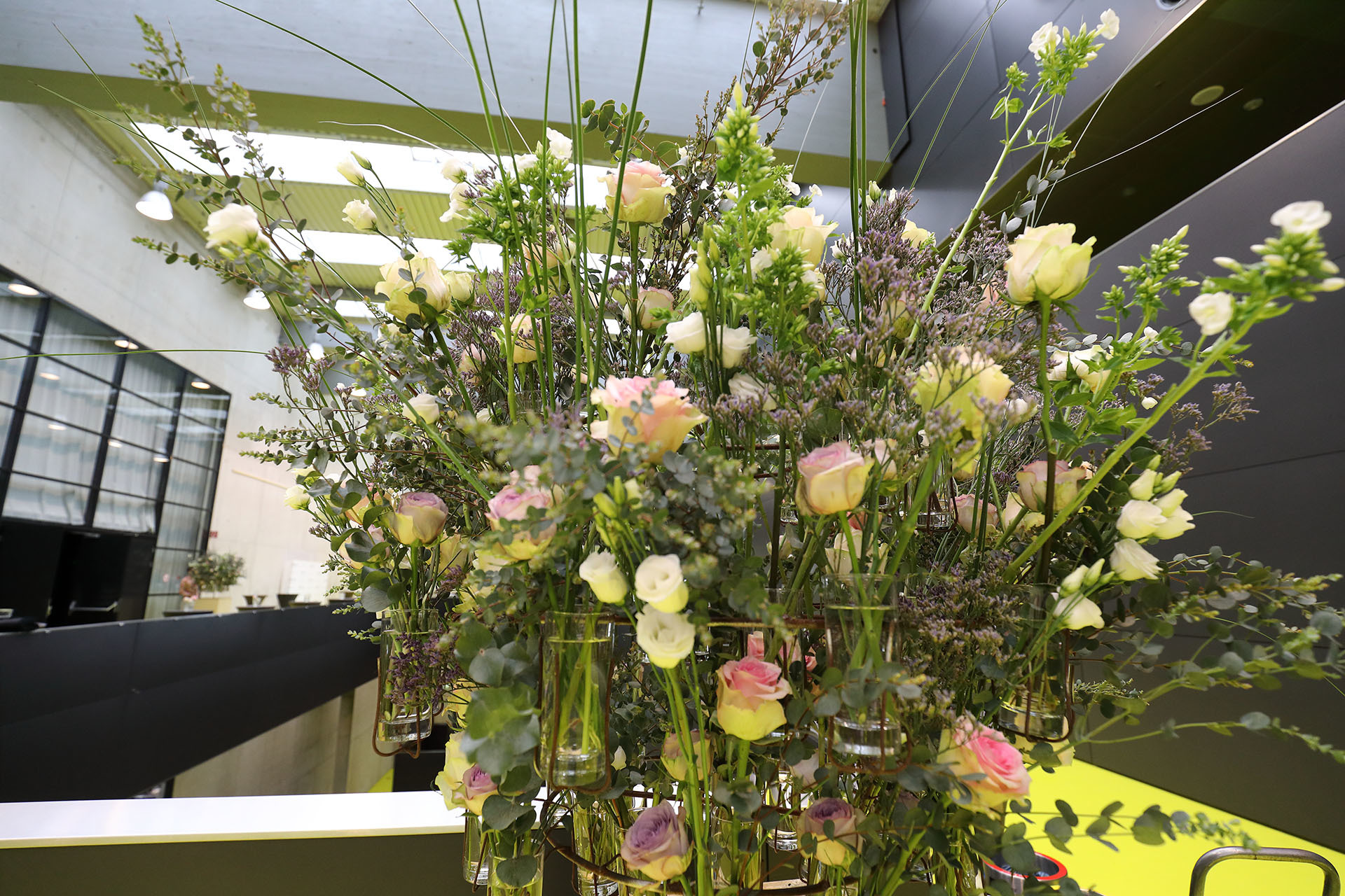 Die Jubiläums-Show:   Ein Spektakel der Sonderklasse (© Great Lengths)