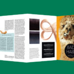 CHANGES 04|2019 (© Great Lengths)