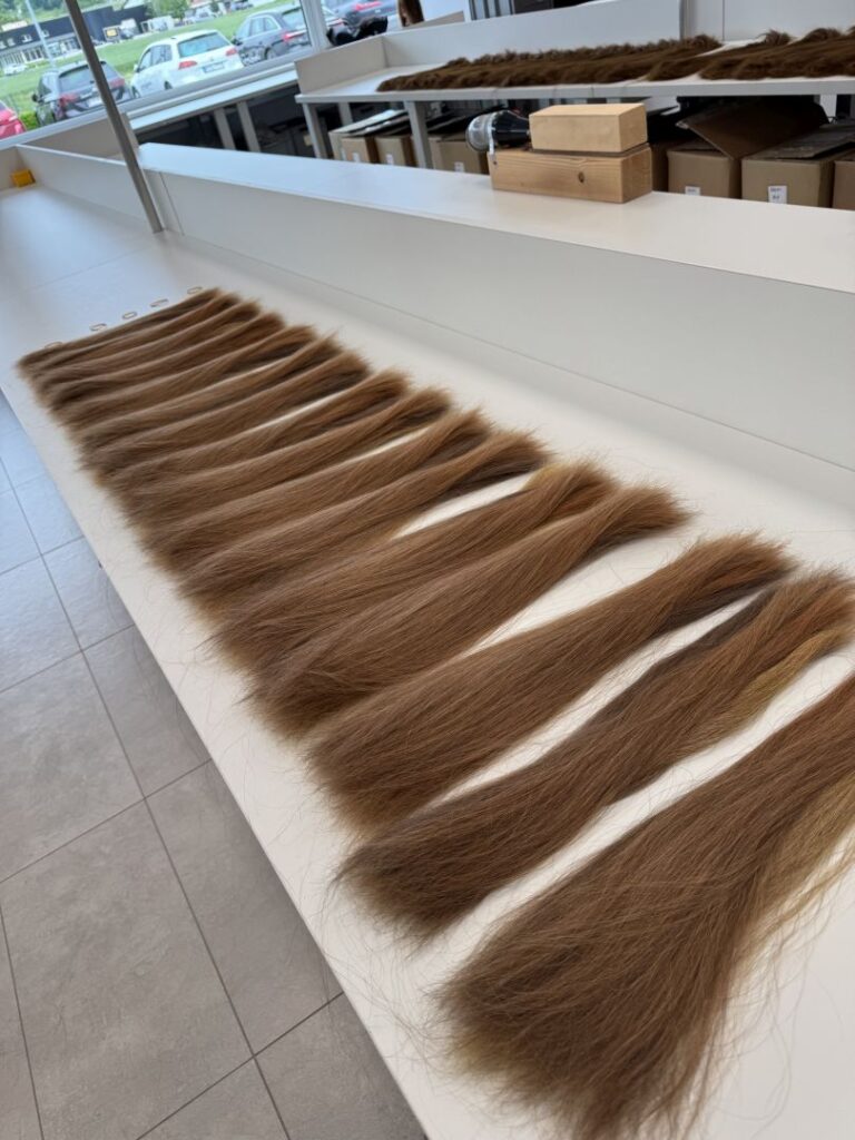 Vertriebs -Meeting und Great Family Day bei Great Lengths